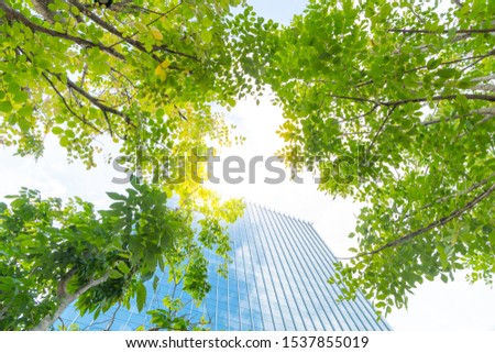 Low angle looking up view of a modern downtown office building surrounded by greenery tree, the surface window outside reflecting clear blue sky. Fresh air, Green living city, Air quality concept.