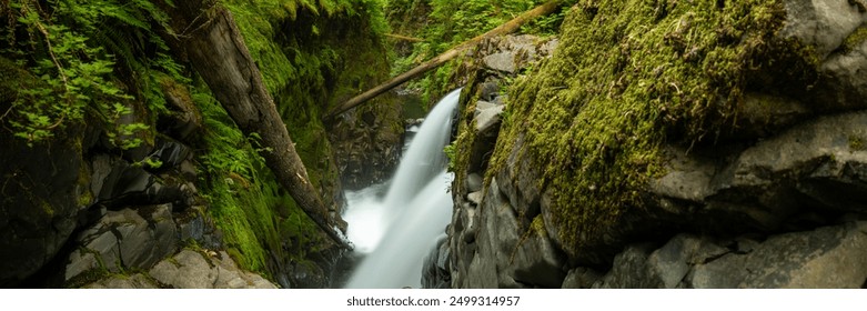 Low Angle Panorama Of Sol Duc Falls in Olympic National Park