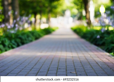 Low Angle Park Path Landscape Background