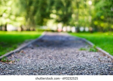 Low Angle Park Path Landscape Background