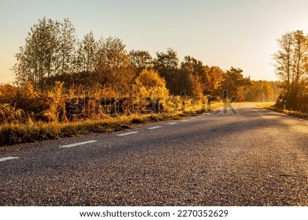Low angle photo to early autumn morning on a small road. Foggy morning on a country road. Beautiful sunrise at fall. Scenic foliage, walkway and fog at countryside