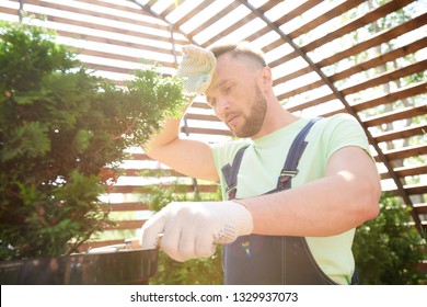 Low Angle Portrait Of Exhausted Gardener Planting Trees In Extreme Heat And Sunlight, Copy Space