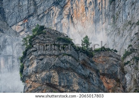 A low angle of the rocky cliffs covered in greens in the park