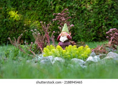 
				Low angle selective focus view of cute dewy decorative garden gnome with his hands on his eyes set in small rock garden with several succulent plants 