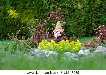 
Low angle selective focus view of cute dewy decorative garden gnome with his hands on his eyes set in small rock garden with several succulent plants 