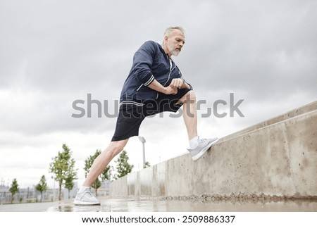Similar – Image, Stock Photo Concrete steps with fall leaves