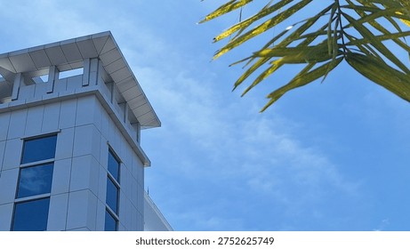 Low angle shot of a modern skyscraper corner against a clear blue sky. Features sleek architectural lines, blue reflective glass windows, and blurred palm leaves in the foreground.