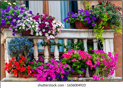A low angle shot of pots with beautiful flowers in the balcony