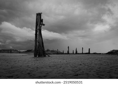 Low angle shot of some mooring piles at low tide. We were driving down the eastern coast of Vancouver Island and dodging storms all day, so the sky had this lovely moody quality to it. - Powered by Shutterstock