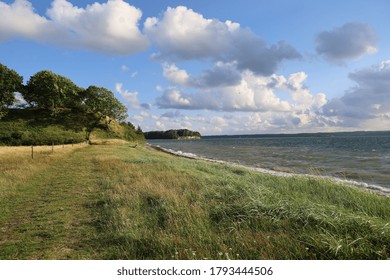 A low angle shot of trees, a river, and grassland