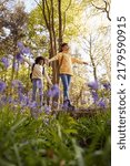 Low Angle Shot Of Two Children Walking Through Bluebell Woods In Springtime Balancing On Log