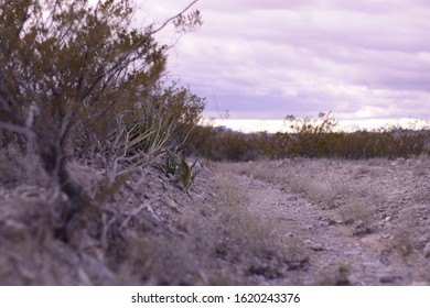 Low Angle Show Of Dried Creek Bed In Big Bend Park