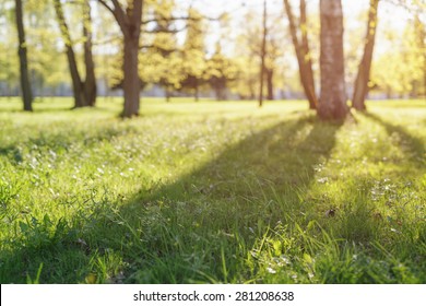 Low Angle Show In Park With Long Shadows