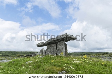 Low angle and summer view of Poulnabrone Dolmen of neolithic age with white wildflowers on the hill at Clare, Ireland
