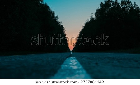Low angle surface view of an empty asphalt road with a white dividing line leading straight into the distance through a dark forest at beautiful sunset.