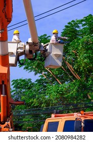 Low Angle View Of 2 Electricians In Bucket Boom Truck Cutting High Tree Branches For Safety Of Electrical Transmission System