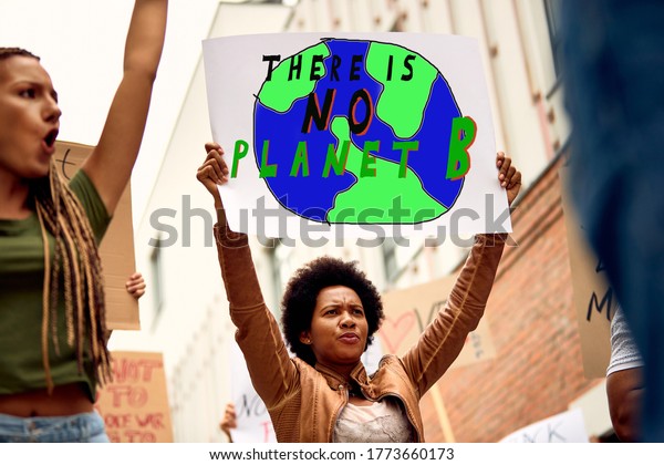Low angle view of African\
American woman carrying banner with there is no planet B\
inscription while protesting with crowd of activists against\
climate changes.