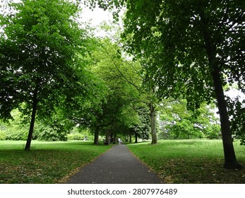 Low angle view of an asphalt pathway curving through a beautiful public park surrounded by vibrant green grass and mature trees
