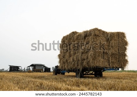 Low angle view from the back of a walk-behind tractor carrying piles of straw bales tied with ropes to prevent falling, stacked on top of each other, stationary near a hut resting on a rice field.