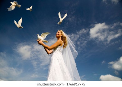 Low angle view of bride holding dove