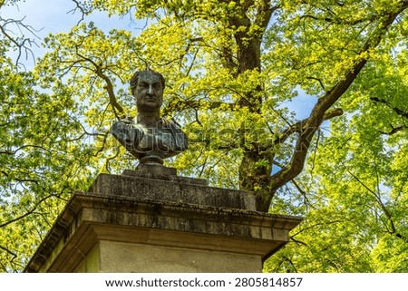 Low angle view of a bronze bust statue mounted on a weathered stone pedestal in a public park in Amberg, Bavaria, Germany. The sculpture is framed by a large tree with bright green spring foliage and branches against a blue sky, captured in natural daylight.