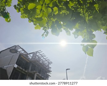 Low angle view of a building under construction next to lush green trees against a bright sunny sky