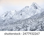 Low angle view of a cable car driving over snow covered trees against Nojeokbong Peak of Seoraksan Mountain near Sokcho-si, South Korea
