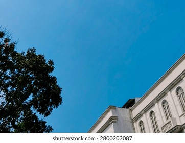 Low angle view of classic white building architecture and green tree framing a clear blue sky copy space