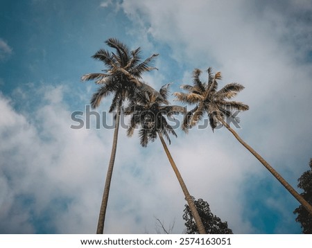 low angle view coconut trees against blue sky
