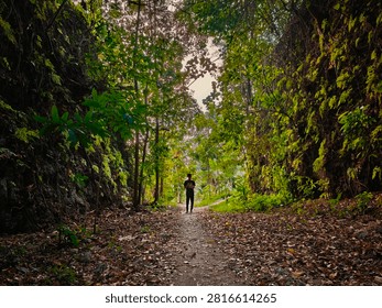 Low angle view of a distant silhouetted person standing on a leaf-strewn dirt trail surrounded by steep rocky walls and lush green tropical forest canopy.
