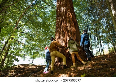 Low angle view of diverse group of environmental activists hugging large sequoia tree in forest