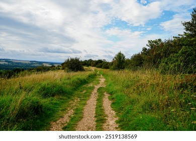 Low angle view down a footpath in the countryside 