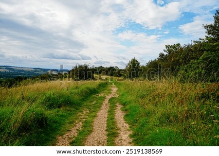 Low angle view down a footpath in the countryside 