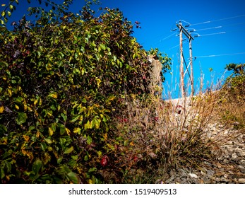 Low Angle View Of Electric Poles And Transmission Wires From The Side Of The Road