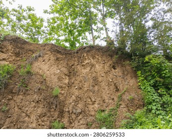 Low angle view of an eroded brown dirt cliff with exposed tree roots and green trees growing on top against a bright sky