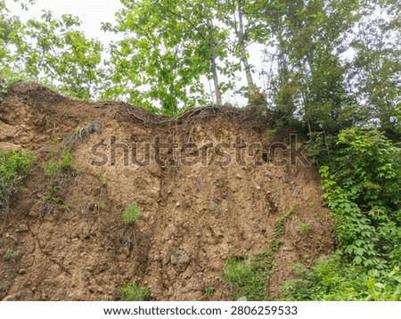 Low angle view of an eroded brown dirt cliff with exposed tree roots and green trees growing on top against a bright sky