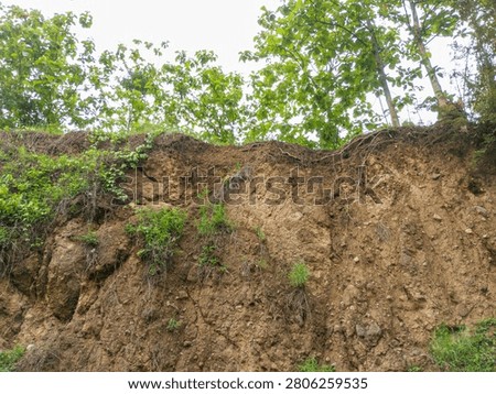 Low angle view of an eroded brown dirt cliff with exposed tree roots and green trees growing on top against a bright sky