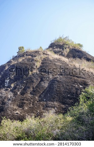 Low angle view of a giant black rock cliff overgrown with wild vegetation under a clear sky.
