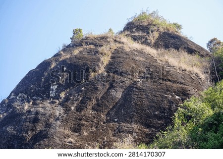Low angle view of a giant black rock cliff overgrown with wild vegetation under a clear sky.