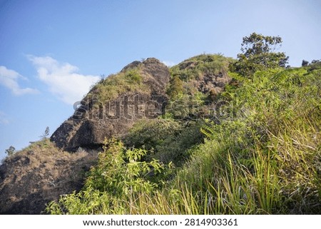 Low angle view of a giant black rock cliff overgrown with wild vegetation under a clear sky.