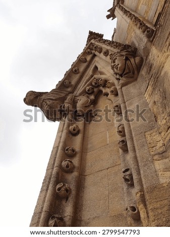 Low angle view of gothic stone carving and gargoyle on church wall
