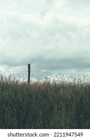 Low Angle View Of Grass Against Sky 