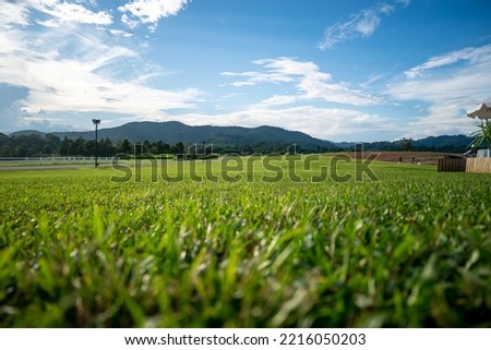 Low angle view of green grass field, mountain and sky in the morning light. Countryside springtime landscape with valley behind the forest on the grassy hill. Copy space for advertisement word.