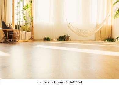 Low Angle View Of Hammock In Warm Bright Room With Plants