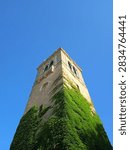 Low angle view of historic Bascom Hall bell tower with ivy covered stone walls reaching into clear blue sky. University of Wisconsin Madison campus landmark on sunny day.