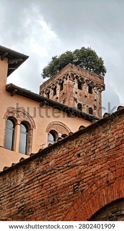 Low angle view of the historic medieval Guinigi Tower with green trees growing on top rising behind traditional brick walls and residential buildings in Lucca, Tuscany, Italy.