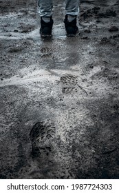 low angle view of human feets