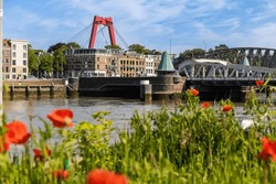 Low Angle View Of Iconic Former Railway Bridge Koninginnebrug And Willemsbrug Bridge In The Background With Poppies In The Forefront