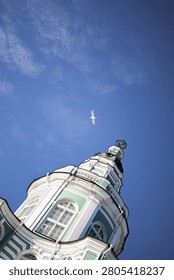 Low angle view of the Kunstkamera tower in St. Petersburg, Russia, featuring its distinctive green and white baroque architecture and golden armillary sphere at the top. A white seagull flies high in the clear blue sky above the historic museum building on a sunny day.