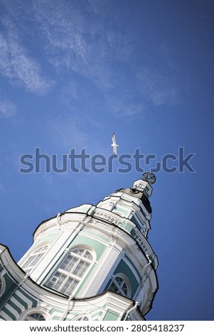 Low angle view of the Kunstkamera tower in St. Petersburg, Russia, featuring its distinctive green and white baroque architecture and golden armillary sphere at the top. A white seagull flies high in the clear blue sky above the historic museum building on a sunny day.